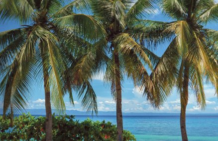 Cebu Beach <Photo by enggul>